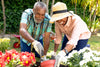 two seniors happily gardening together