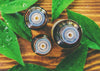 5 Health Benefits of Tea Tree Oil