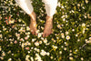 shot of person's feet standing in a field of white and pink flowers