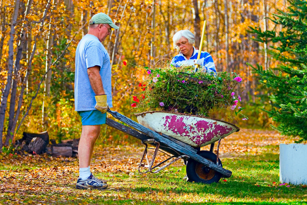 Senior couple doing yardwork in early autumn.
