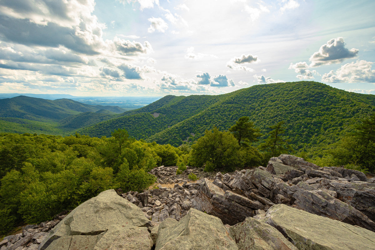 mountain view from Blackrock Summit
