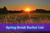 Spring Break Bucket List - The Outback Series