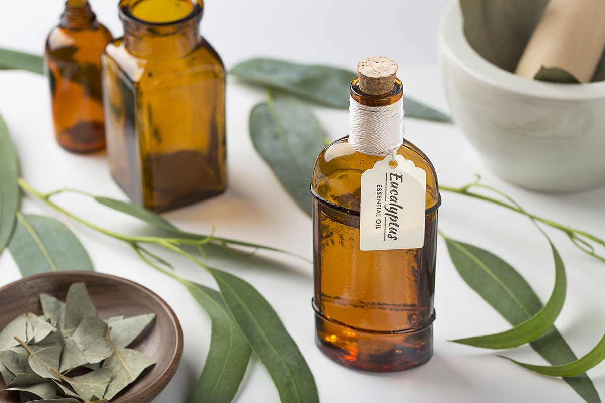 5 Health Benefits of Eucalyptus Oil