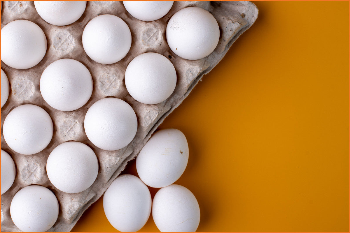 yellow background with a large gray container of white eggs with three white eggs sitting outside of the container