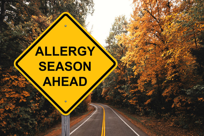 yellow road sign that says 