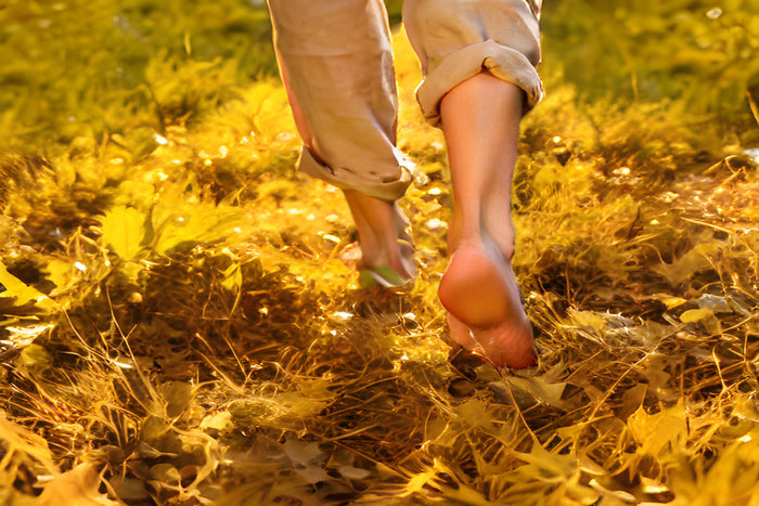 Woman's bare feet walking in the grass and leaves in autumn.