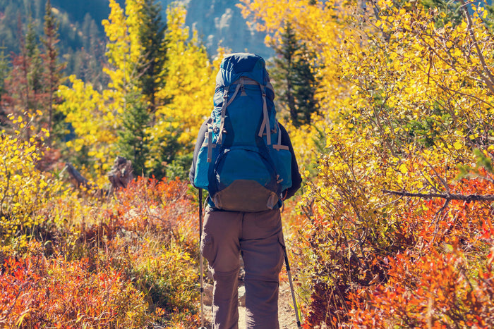 senior man with large backpack hiking on a trail in the fall.