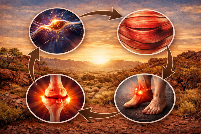 Illustration of the chronic pain loop in a sunset-lit outback: nerve irritation, muscle tension, poor circulation, and inflammation are shown as interconnected stages in a continuous cycle.