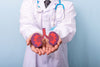 doctor in lab coat holding shape of kidneys